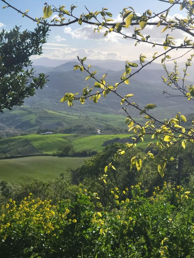 Villa Ancient Stone 'Casa Rosa'- Sea And Mountain View Tranquil Borgo Tavenna Exterior foto
